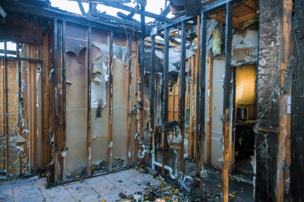 Professional Fire Damage Removal technician working in Louise, TX